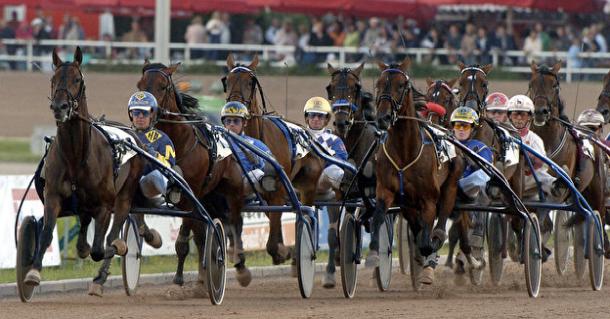 Traber Derby Berlin Traber Derby Berlin